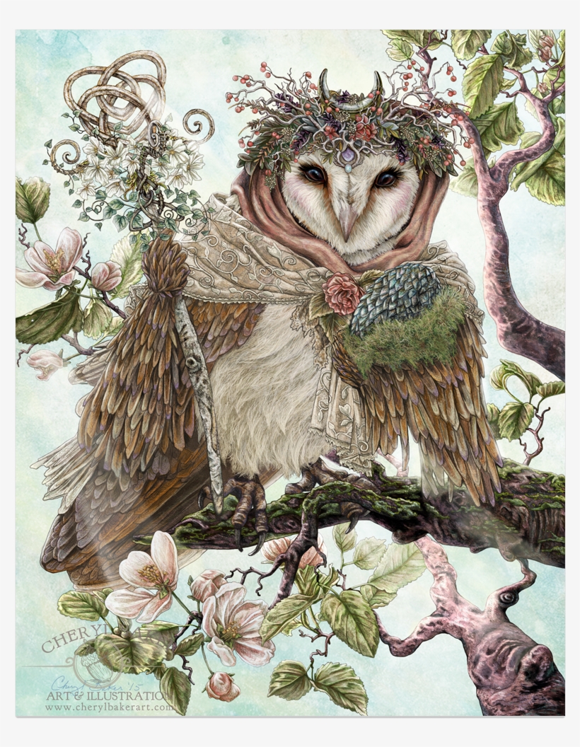 Shop Stationery, Limited Edition Prints And Room Decor - Barn Owl Art, transparent png #1411010