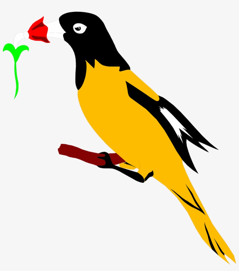 Oriole Clipart At Getdrawings - Oriole Bird Clipart, transparent png #1411211