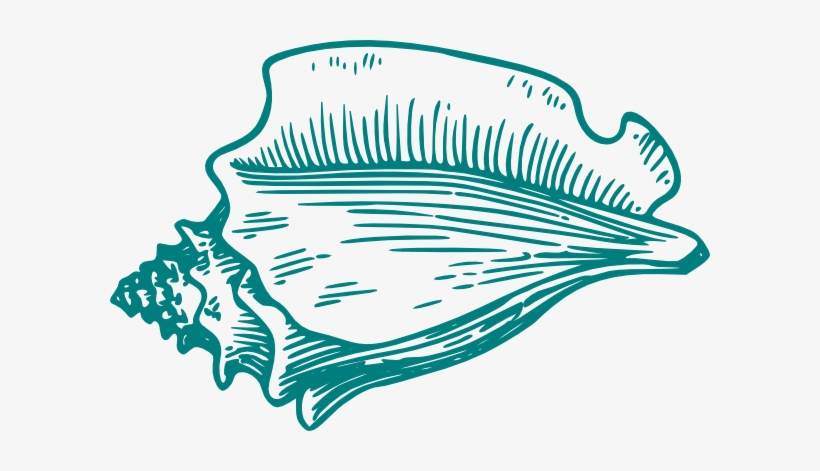 Teal Conch Shell Clip Art At Clker - Clip Art Conch Shell, transparent png #1411369