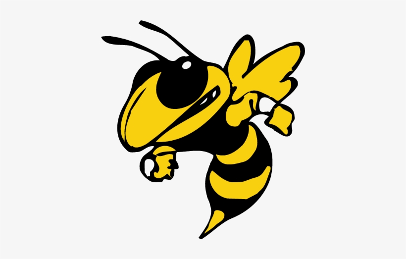 Georgia Tech Yellow Jackets - Yellow Jackets, transparent png #1411909
