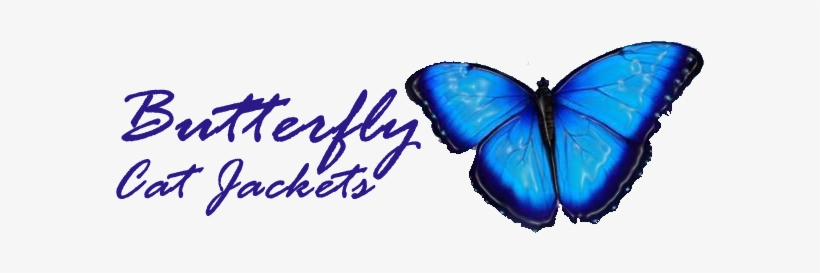 Love Is As Free As A Butterfly Card, transparent png #1412906