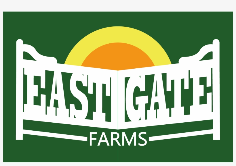 Quick View - Product, transparent png #1414064