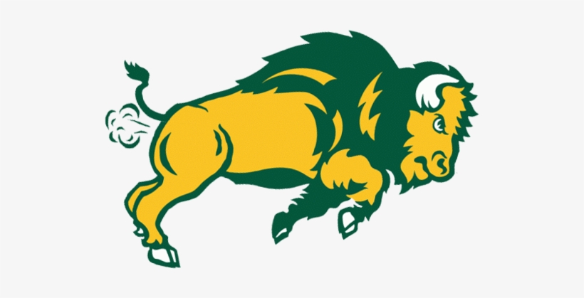 Coastal Carolina 32 Ndsu - North Dakota State Bison, transparent png #1414474