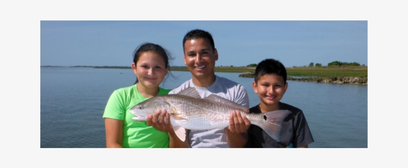 Low Country Fishing Remains Consistent - North Carolina, transparent png #1414911