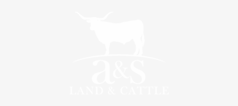 A&s Land And Cattle Logo - Texas Longhorn Cattle Brand, transparent png #1422360