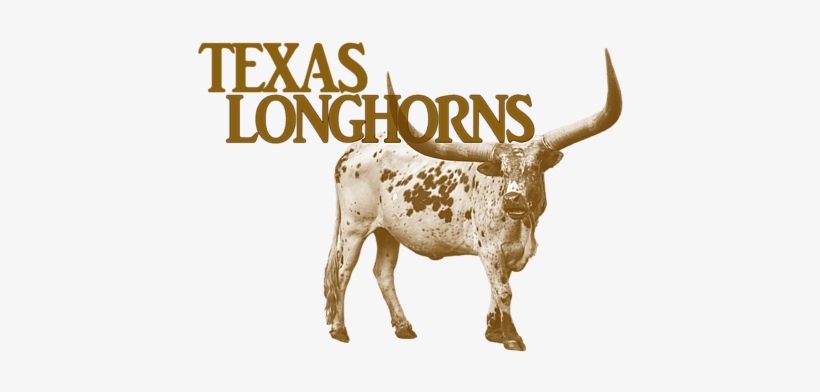 Click And Drag To Re-position The Image, If Desired - Texas Longhorns Football, transparent png #1422407