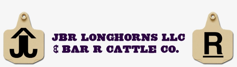 Home - Longhorns - Smallgoods - The Gourmet Farmer Deli Book, transparent png #1422969