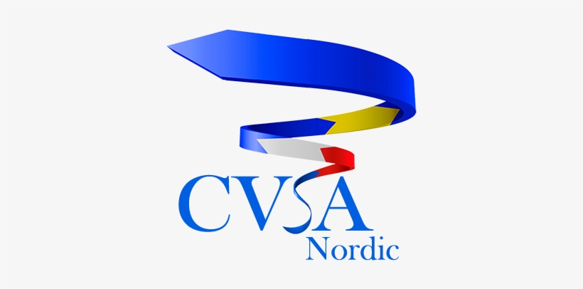 Mikä On Cvs - The Great Questions Of Tomorrow, transparent png #1423616