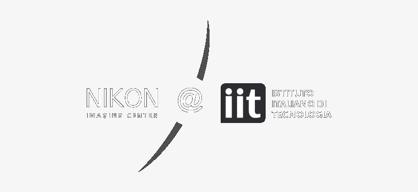 Istituto Italiano Di Tecnologia, transparent png #1423798