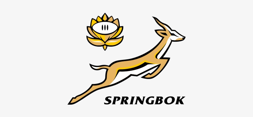 South Africa Springboks Rugby - All Blacks Vs Springboks, transparent png #1424419