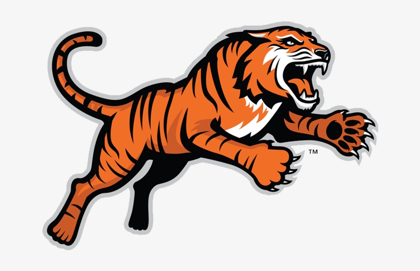 Alternative Logos - College Flags And Banners Co. Rit Tigers Black House, transparent png #1424674