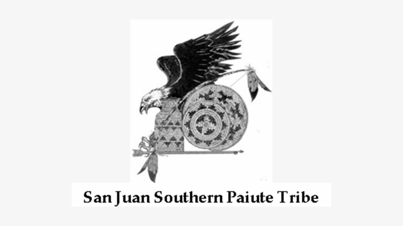 Click Here To Read Articles About This Conference - Bald Eagle, transparent png #1424791