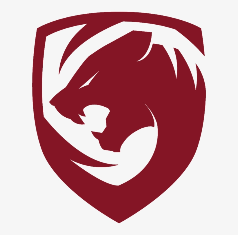 Team Tigers Dota 2, transparent png #1424834