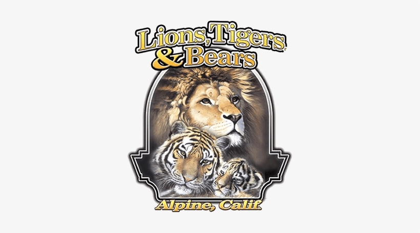 Lions Tigers And Bears Logo, transparent png #1425376