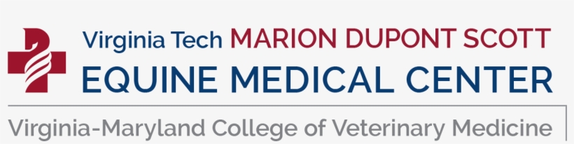 Marion Dupont Logo - Liceo Enrique Ballacey Cottereau, transparent png #1425942
