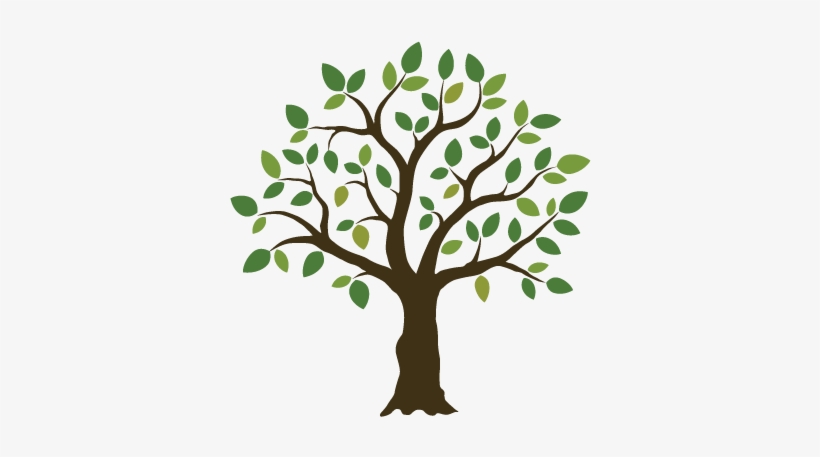 Logo Tree Png - Tree Illustration, transparent png #1426389