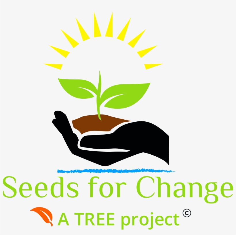 Logo - Seeds For Change, transparent png #1426983