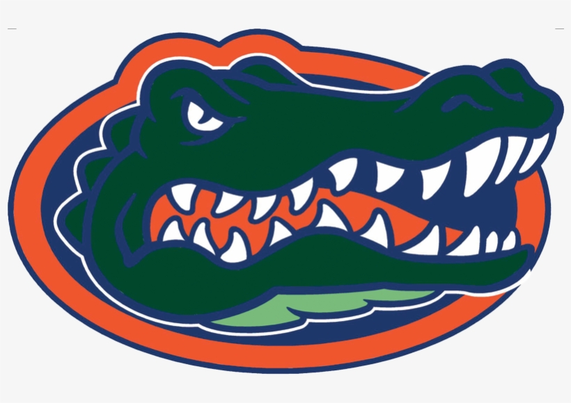 Gator Logo For Web - Florida State Basketball Logo, transparent png #1428380