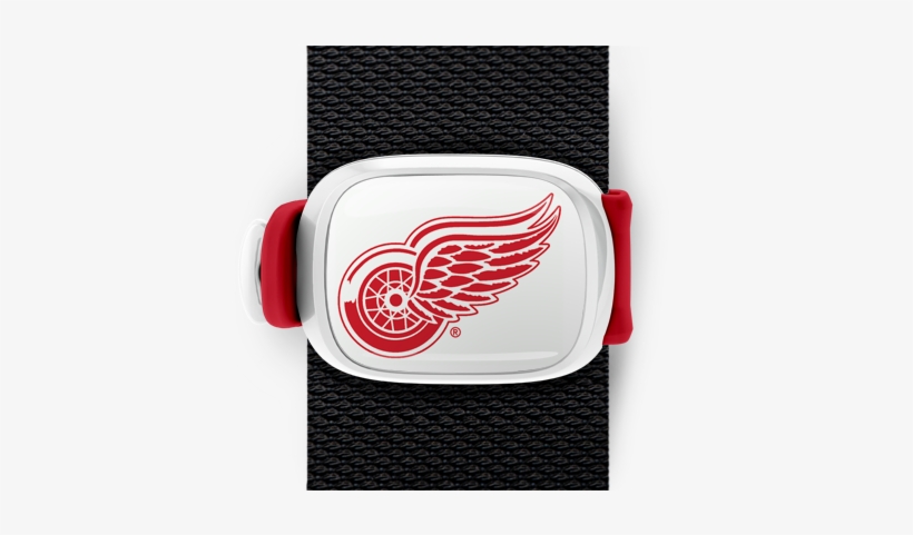 Detroit Red Wings Stwrap - Detroit Red Wings 8 Inch Logo Magnets, transparent png #1429682
