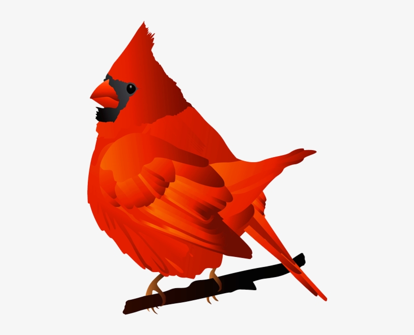 Vector Bird Cardinal - Red Bird Transparent Background, transparent png #1430471