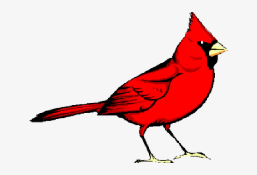 Graphic Freeuse Library Cardinal Clipart - Red Bird, transparent png #1430655