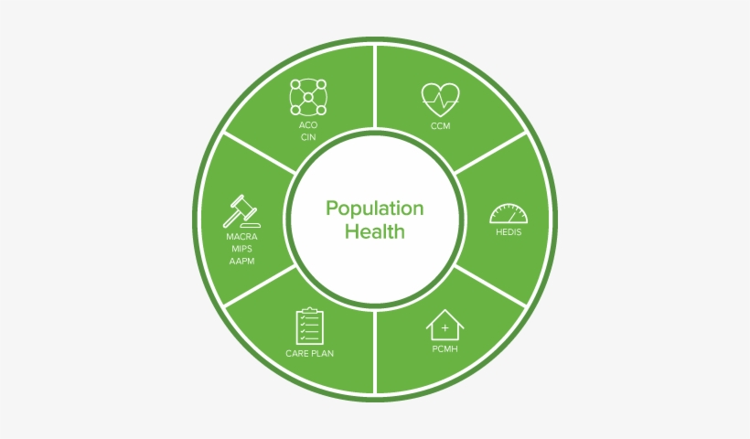 Analytics, Patient Engagement, Care Planning, Referral - A.p.e. International, transparent png #1431036