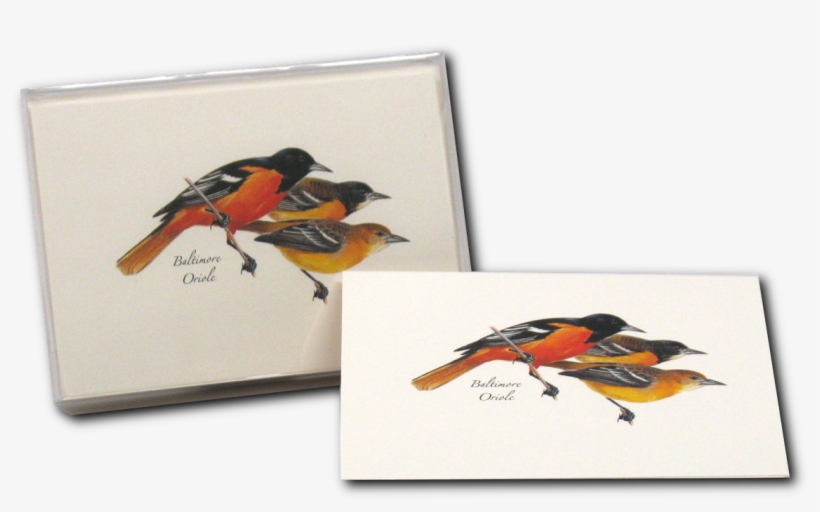 Shopping Cart -  -  - Field Guide Art Of Roger Tory Peterson, transparent png #1433306