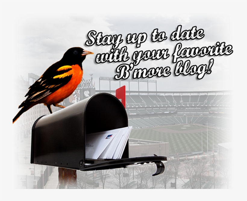 Twitter - Congratulations New Job, transparent png #1433384