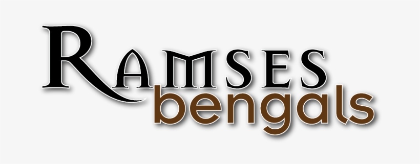 Ramesses Ii, transparent png #1433478