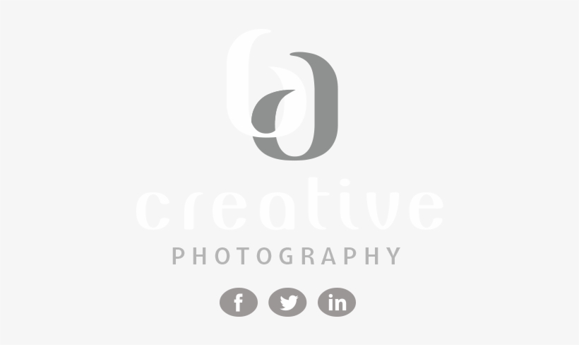 Bd Creative Photography - Photography, transparent png #1434033