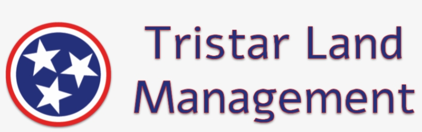 Gex Management, transparent png #1434104