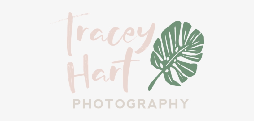 Creative Photography Logo Ideas Png Jpg Freeuse Library - Library, transparent png #1434156