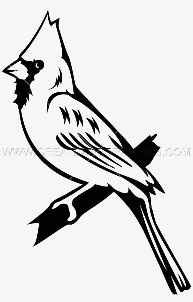 Bluejay Drawing Cardinal - Black And White Cardinal Clipart Transparent, transparent png #1434514