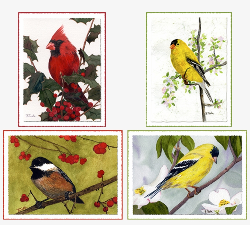 “new England Lighthouses” - Cardinal, transparent png #1434612