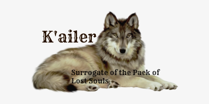 Wolves And Search On Pinterest Wolf Clipart - Wwseven Animal Crystal Diamond Painting Diy Resin Diamond, transparent png #1437458