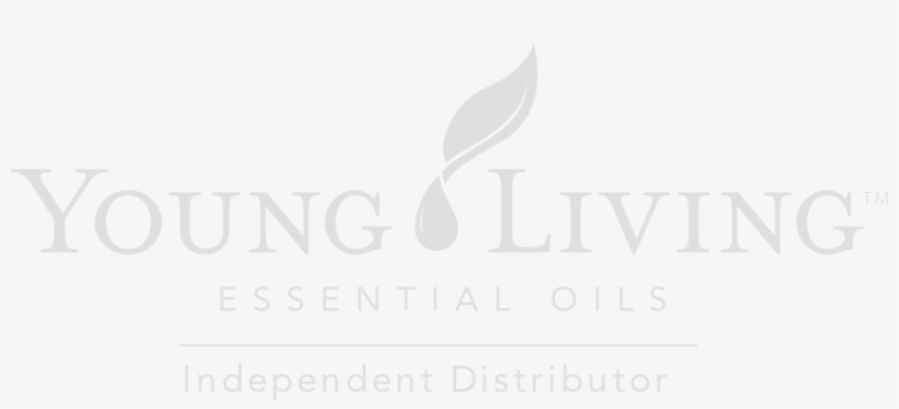 We Furiously Pursue A Life Of Wellness And Abundance - Ingo By Helen Dunmore, transparent png #1438468