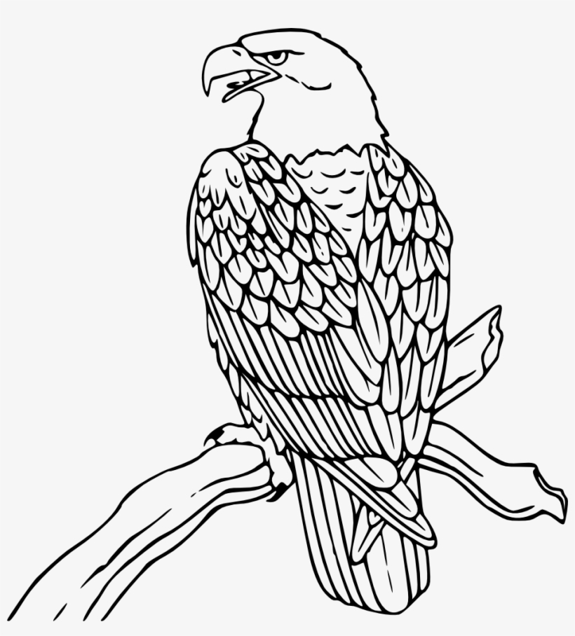 This Free Clipart Png Design Of Bald Eagle, transparent png #1440267