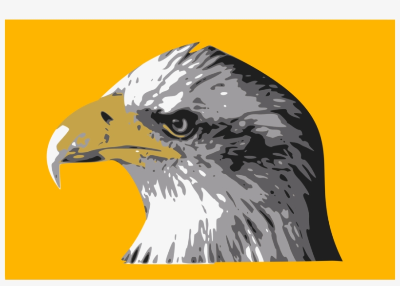 Bald Eagle Bird Hawk Drawing - Coque Apple Iphone 8 Tete D'aigle Royal, transparent png #1440324