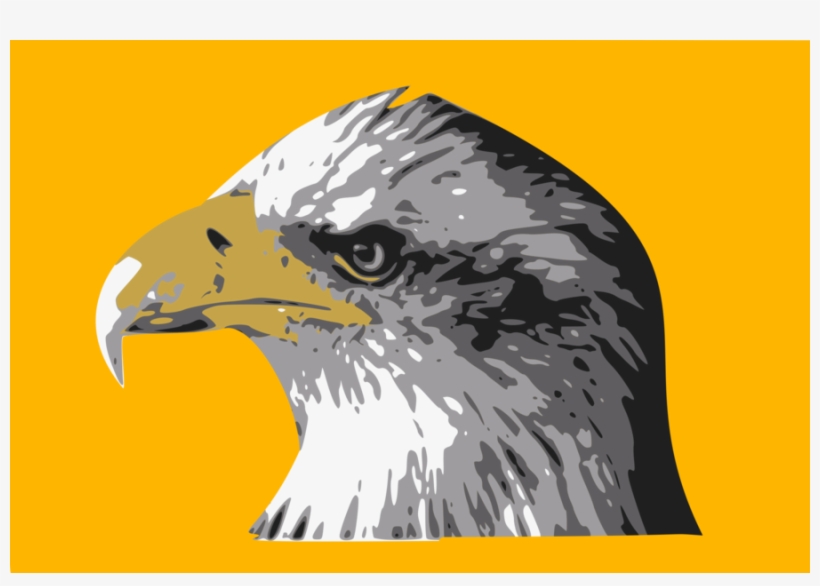 Bald Eagle Bird Hawk Drawing Coque Apple Iphone 8 Tete D Aigle Royal Free Transparent Png Download Pngkey Bald Eagle Bird Hawk Drawing Coque Apple Iphone 8 Tete D Aigle Royal Free Transparent Png Download Pngkey