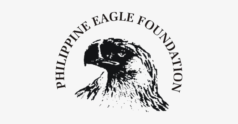 Philippine Eagle Clipart Philippine Eagle Logo - Philippine Eagle Davao Logo, transparent png #1440364