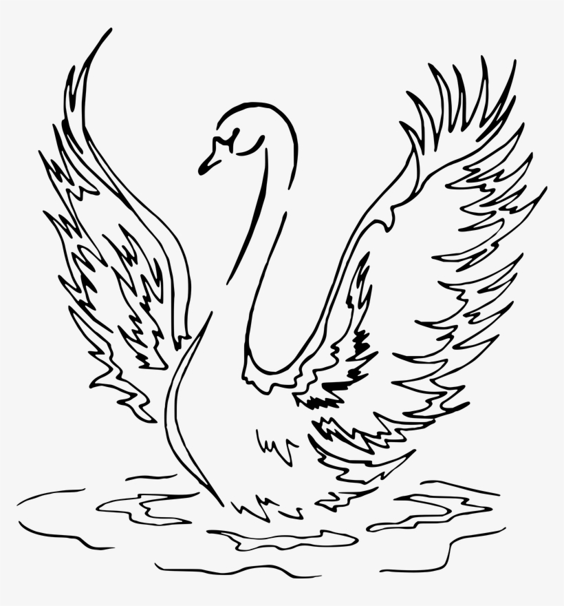 Swan Landing Line Drawing Vector Clipart Image - Swan Drawing, transparent png #1440366