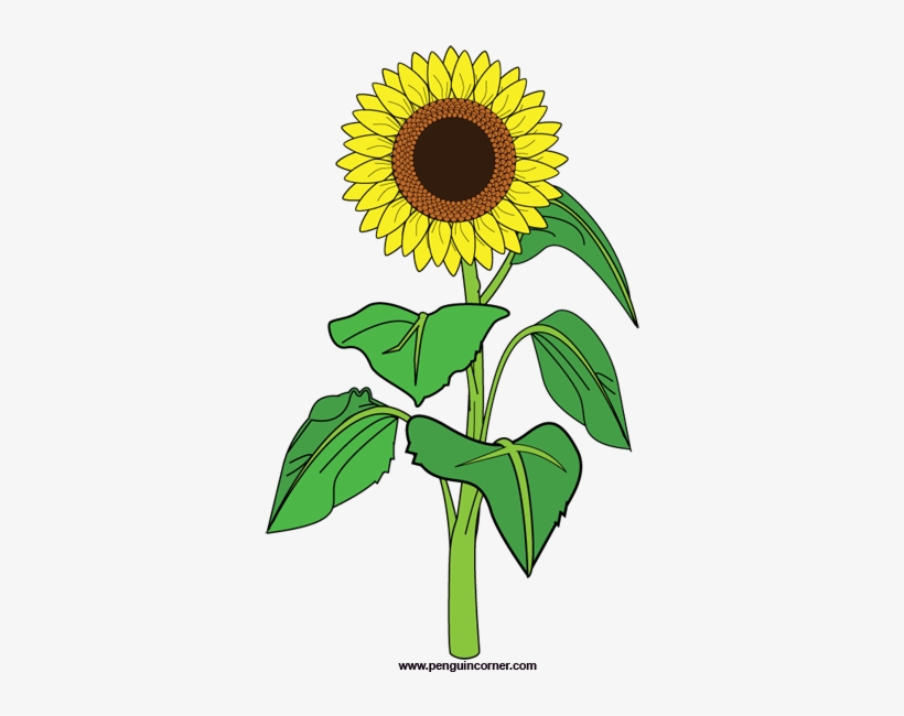 Sunflower Clipart Png - Clip Art Sunflower Plant, transparent png #1440472