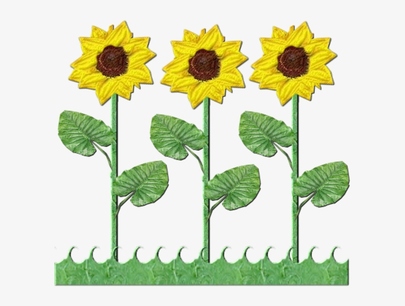 Sunflower Clipart Flower Gardening Sunflower Tree Clipart Free