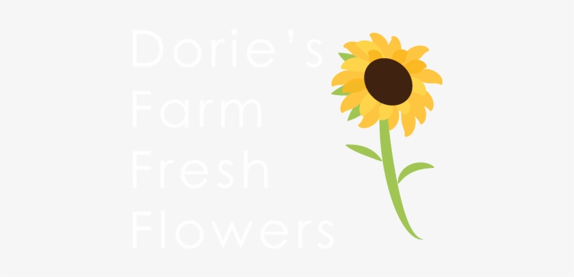 Jpg Black And White Library Sunflowers Contact Us - Farm Sunflower Clipart Png, transparent png #1440739