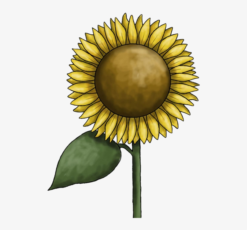 Sunflower Clipart Commercial Use - Sunflower Clipart, transparent png #1440791