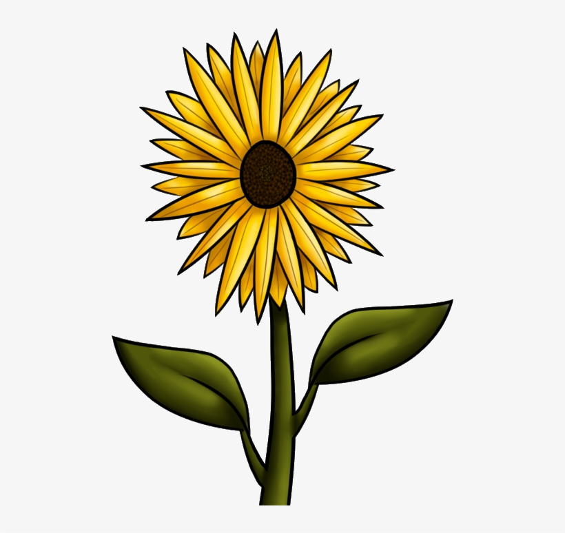 10 Best Images Of Fall Sunflower Clip Art - Sun Flowers Clip Art, transparent png #1440796