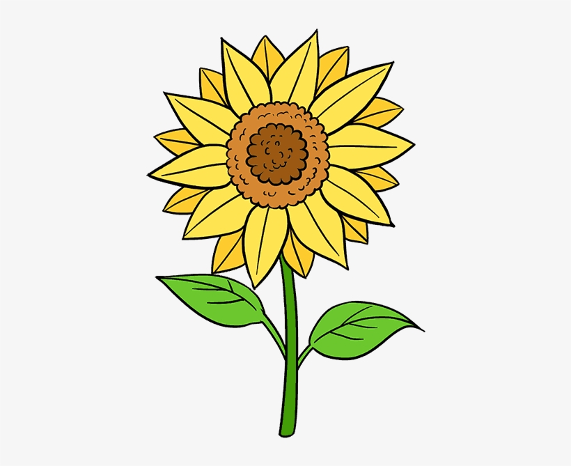 Clip Transparent Stock How To Draw A Sunflower Easy - Sunflower Easy Flower Drawing, transparent png #1440852