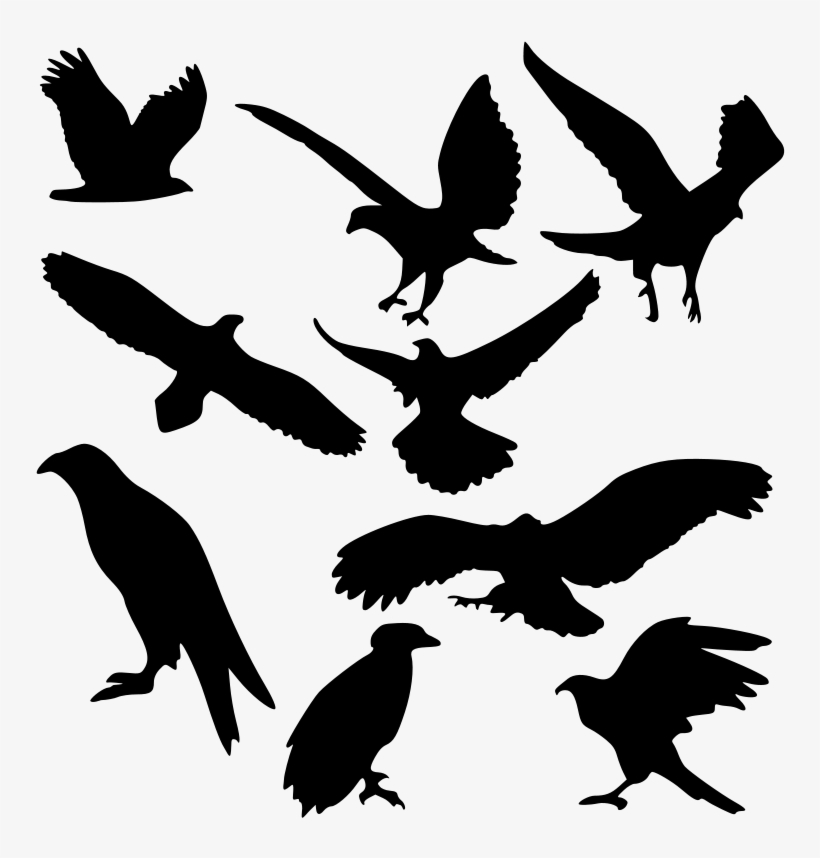 The Eagle's Nest - Wedge Tail Eagle Silhouette, transparent png #1440975