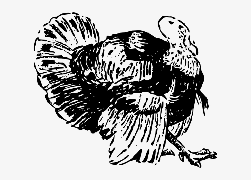 How To Set Use Turkey Clipart, transparent png #1441436