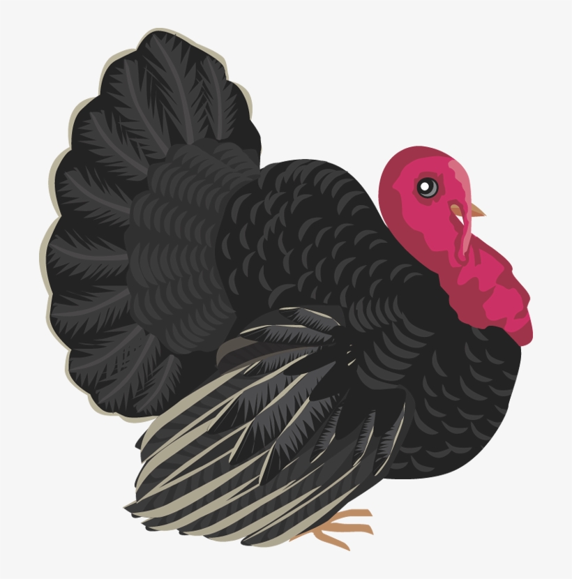 Clipart Turkey Wild Turkey - Black Turkey Clipart, transparent png #1441622